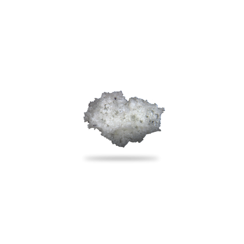 sjmspocc-20-white-spocc-sponge-media-1